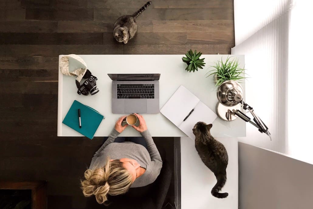 woman-working-at-her-desk-with-kitties_t20_3Q1pbN